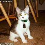 Rupert Kreiger Profile Picture