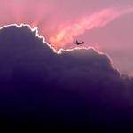 Wendell Rowe Profile Picture