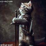 Christina Lueilwitz Profile Picture