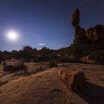 Jada Gusikowski Profile Picture