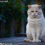 Tyrell Gerlach Profile Picture