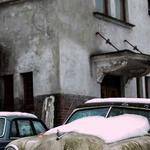 Dagmar Zieme Profile Picture