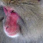 Herta Wilderman Profile Picture