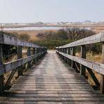 Carlie Walker Profile Picture