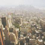 Stephanie Blanda Profile Picture