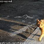 Antwon Larson Profile Picture