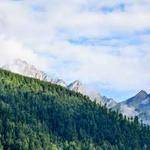 Kianna Kshlerin Profile Picture