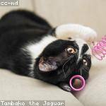 Troy Kessler Profile Picture