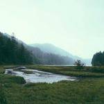 Royal Strosin Profile Picture