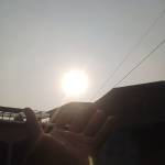 wilfrid nkoghe Profile Picture