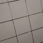 fannakpo Denis profile picture