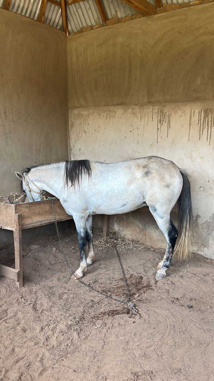 abdou-fataou aboulaye Profile Picture