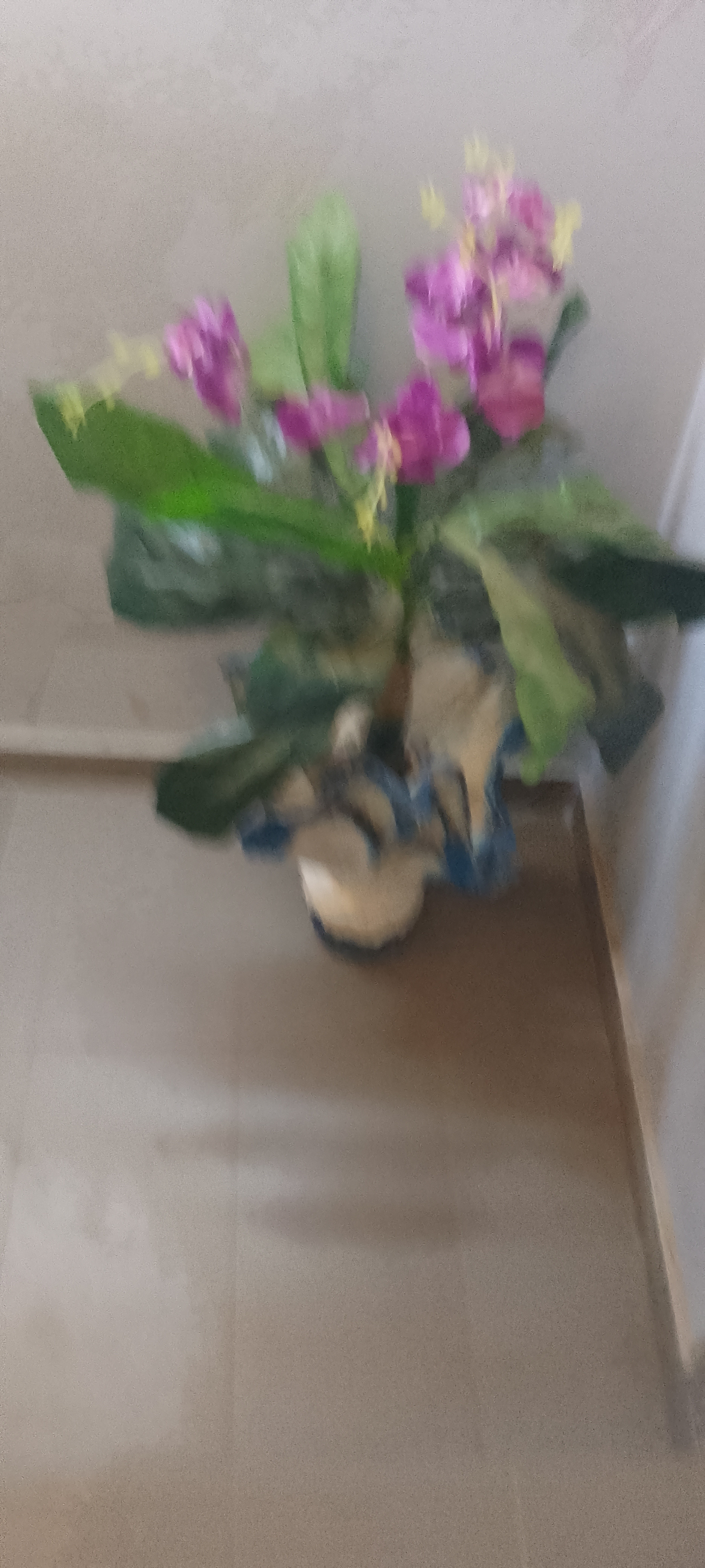 sanou Profile Picture