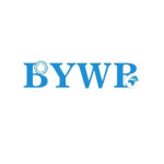 BYWB Bearing Profile Picture