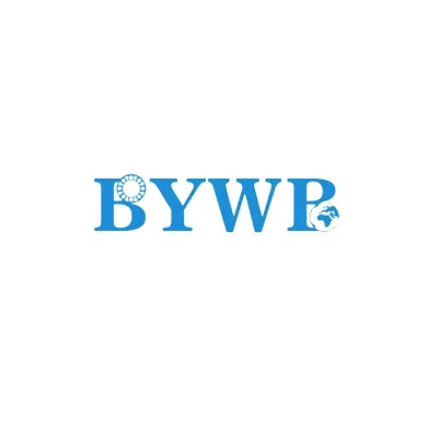 BYWB Bearing Profile Picture