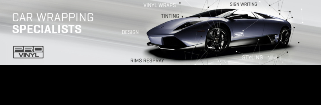 PRO vinyl Cover Image