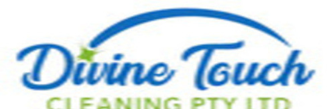 Divine Touch Cleaning Cover Image