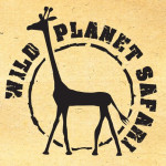 wildplanetsafari Profile Picture
