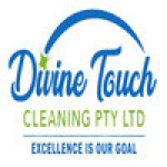 Divine Touch Cleaning Profile Picture