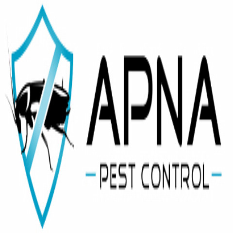 apnapest Profile Picture