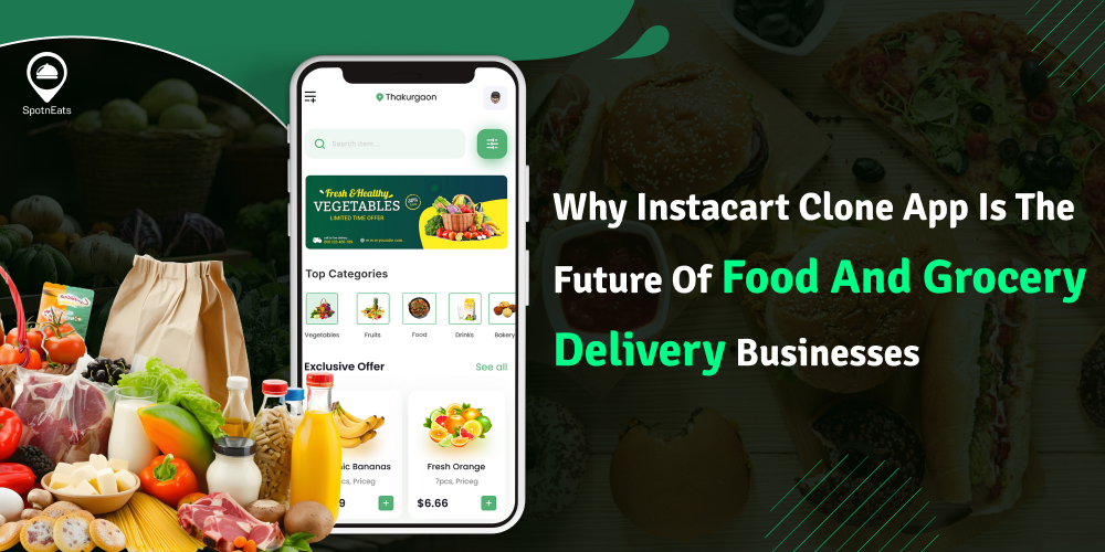 Instacart Clone App: The Future Of Grocery Delivery Businesses
