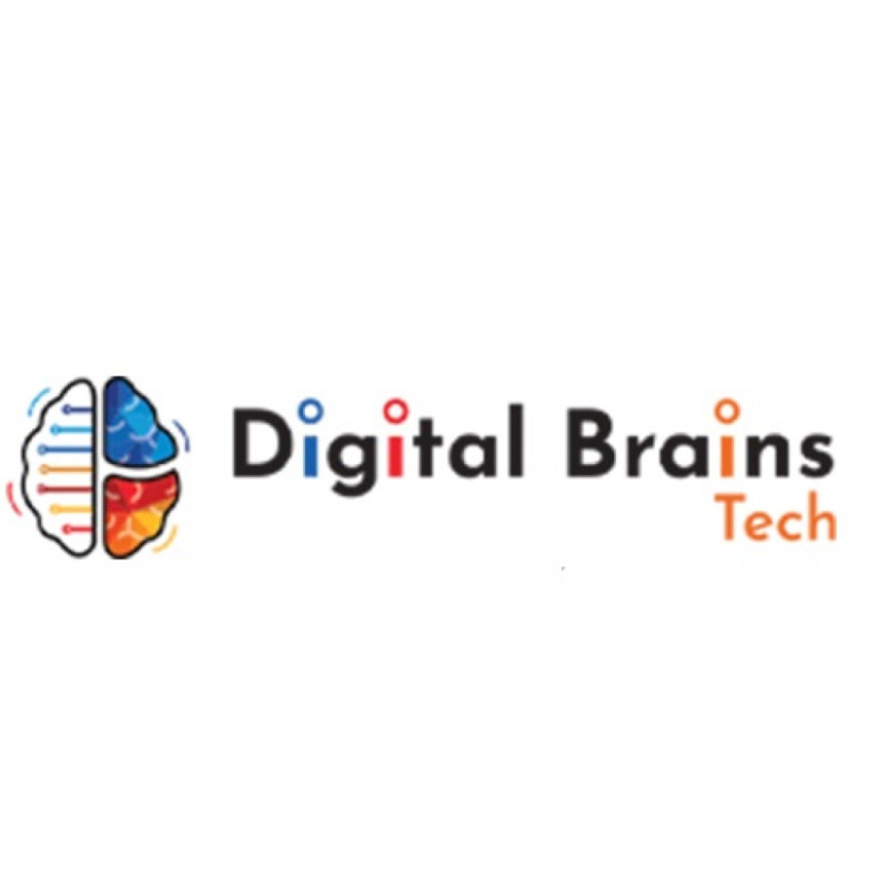 Digital Brains Tech Profile Picture