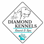 Diamond Kennels Profile Picture