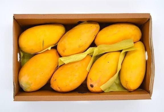Mango Companies in Pakistan: Leading Growers, Exporters and...