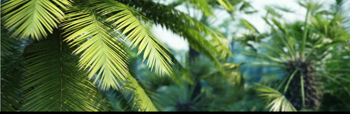 Jessica Kean Cover Image