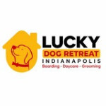 Lucky dog Retreat Indianapolis Profile Picture