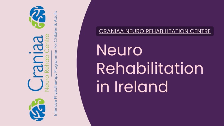 PPT - Neuro Rehabilitation in Ireland: Personalised Care for Better Recovery PowerPoint Presentation - ID:14908072