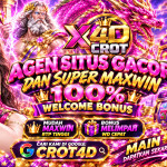 CROT4D_VIP Profile Picture