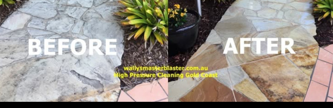 wallysmasterblaster Cover Image